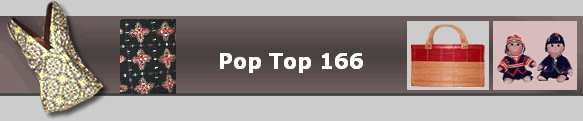 Pop Top 166