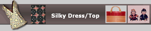 Silky Dress/Top
